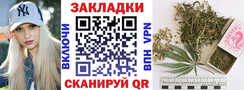 Как найти закладки Тара APVP