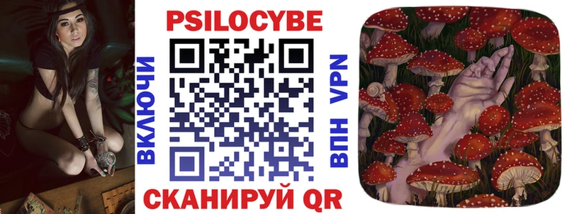 где продают наркотики  Тара  Псилоцибиновые грибы Psilocybine cubensis 