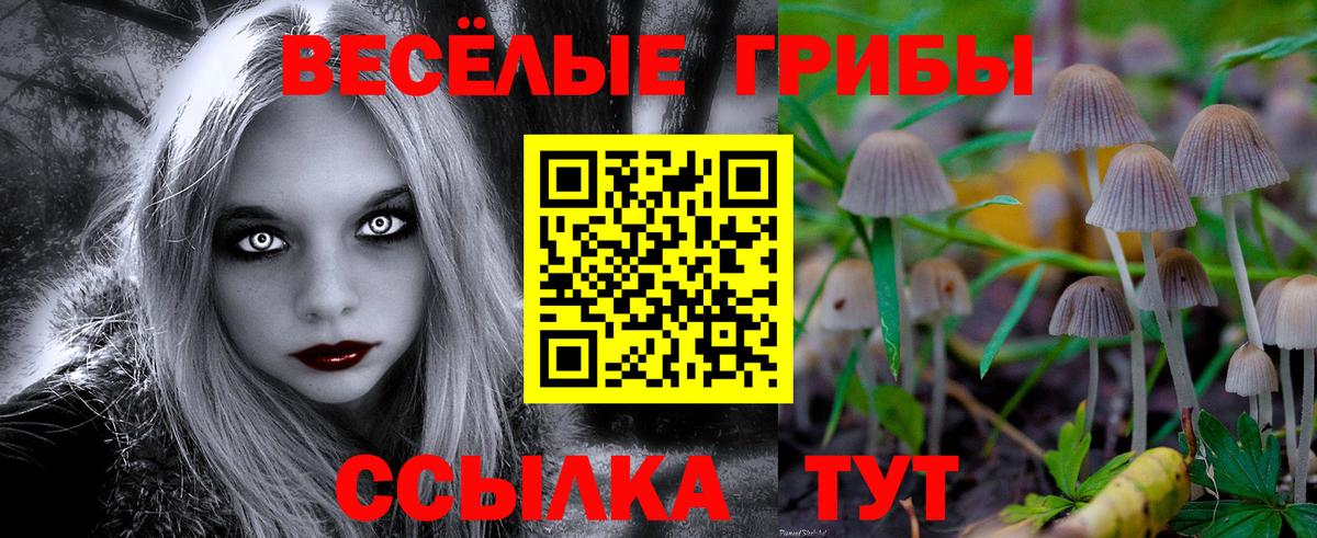 Псилоцибиновые грибы MAGIC MUSHROOMS Тара
