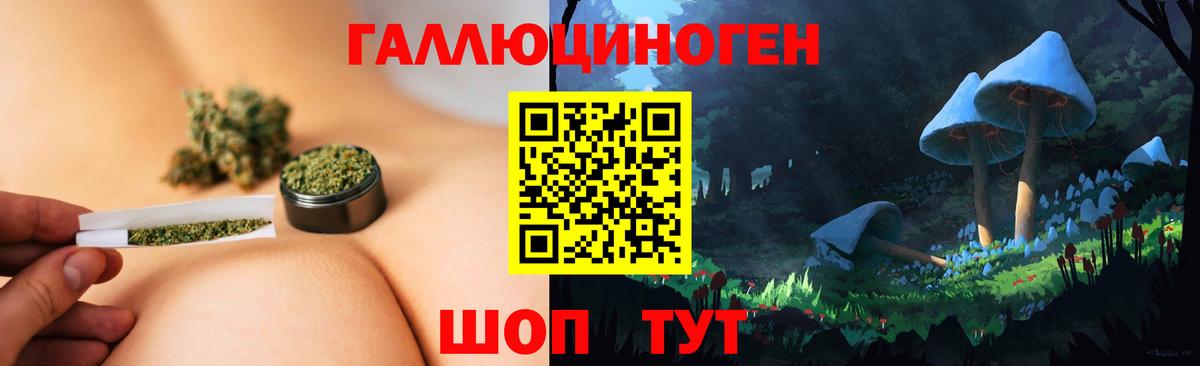 Тара  Псилоцибиновые грибы Cubensis  Вход с VPN  Галлюциногенные грибы ЛСД 