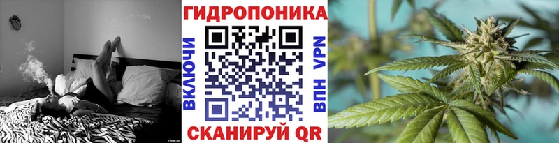 Каннабис индика  KRAKEN как зайти  Тара  где найти  